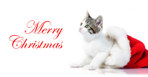 Merry Christmas