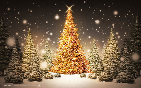 xmas08