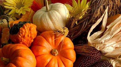 Happy Thanksgiving!